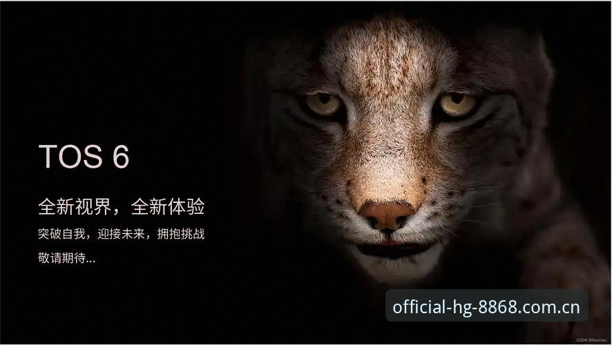hg8868皇冠无缝体验手机版 hg8868皇冠无缝体验手机版实用技巧:老用户教你玩转2026新版